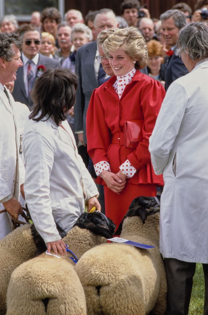 diana with sheep at event