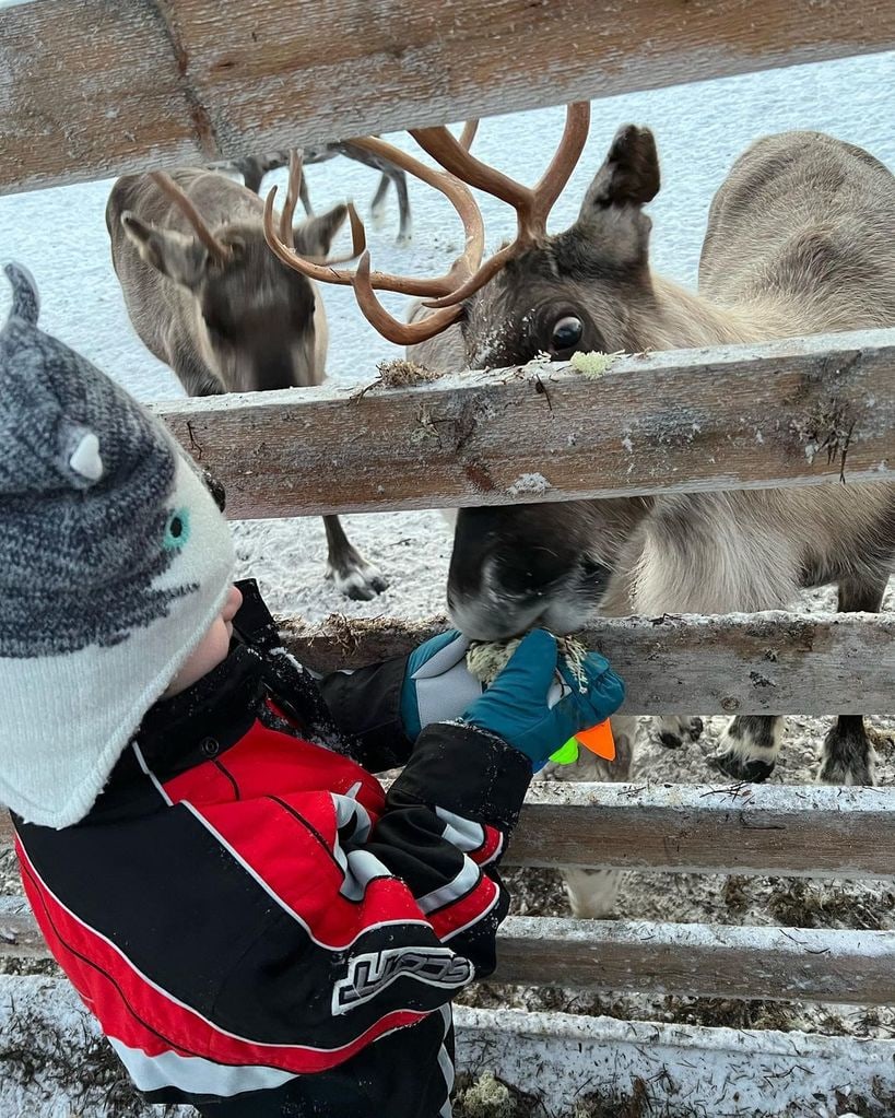 Laura and Jason Kenny's son, Albie in Lapland