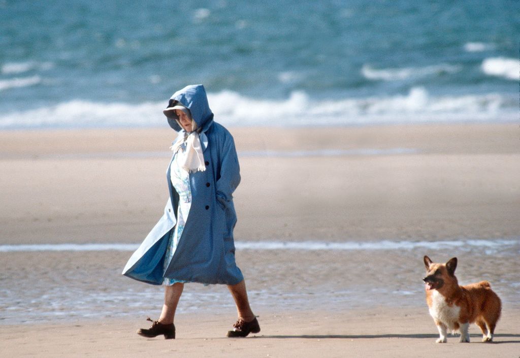 La reine mère marchant avec un corgi sur la plage de Norfolk 