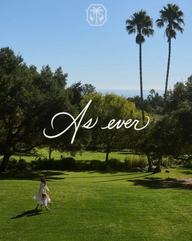 lawn with two palm trees and as ever logo on top 