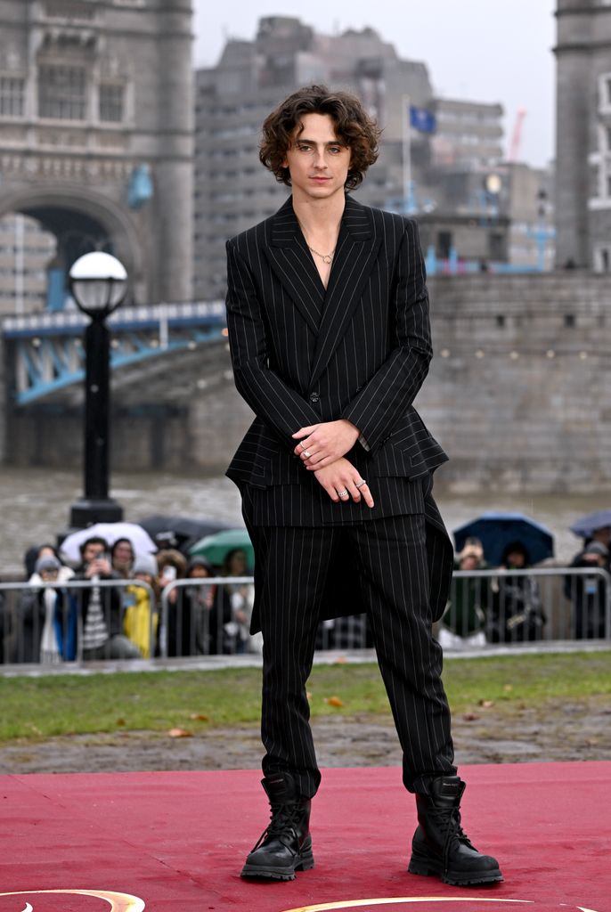 Timothée Chalamet attends the "Wonka" Photocall at Potter's Field Park on November 27, 2023 in London, England.