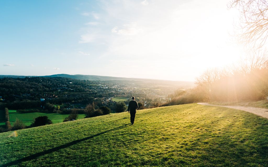 A man is walking on Box Hill, Surrey at sunset - stock photo