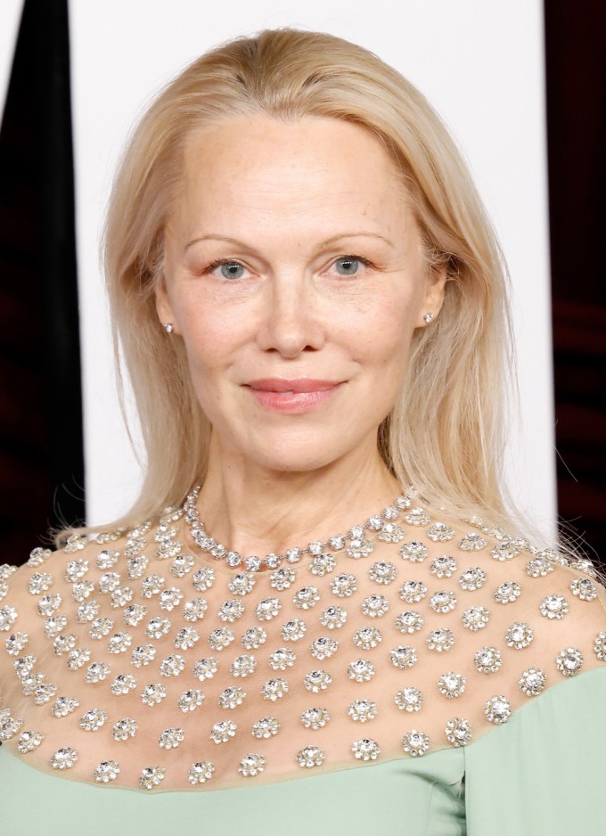 Pamela Anderson in 2024 