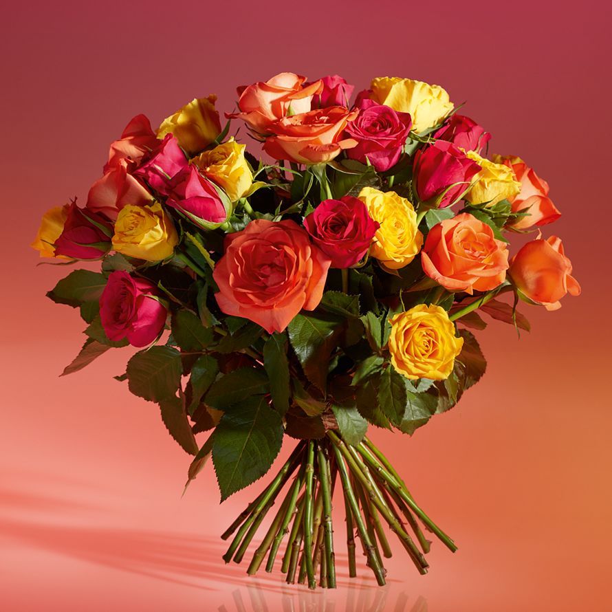 Abundance of Bright Roses bloom by Waitrose Florists