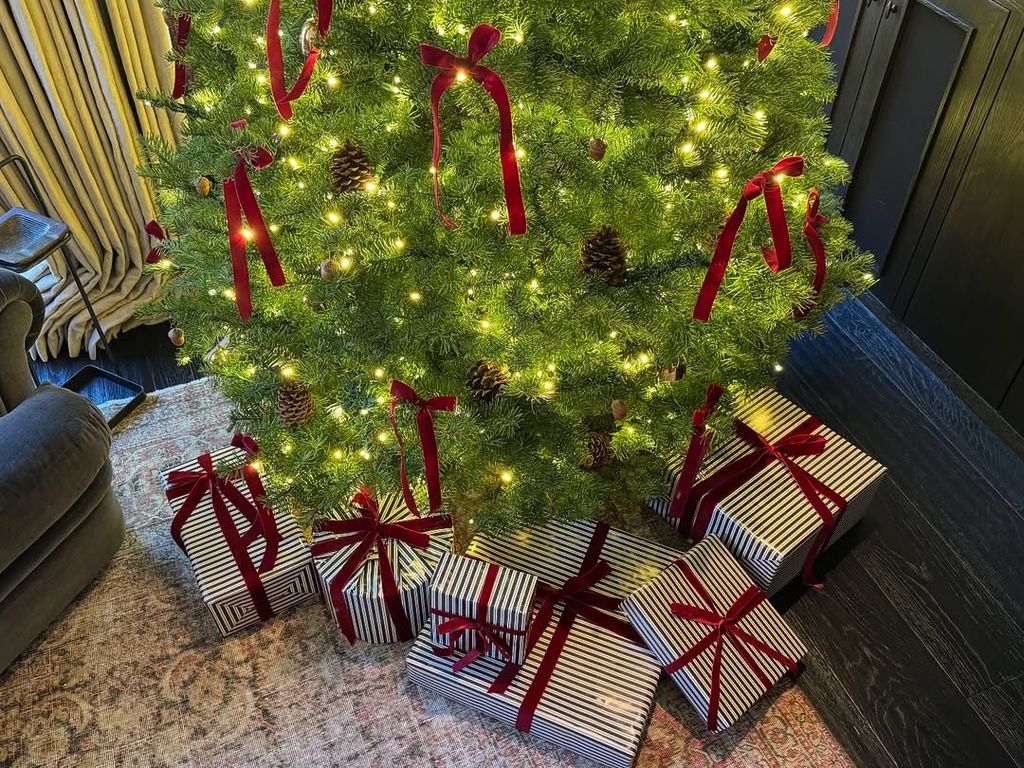 Kendall's tree is adorned with festive red bows