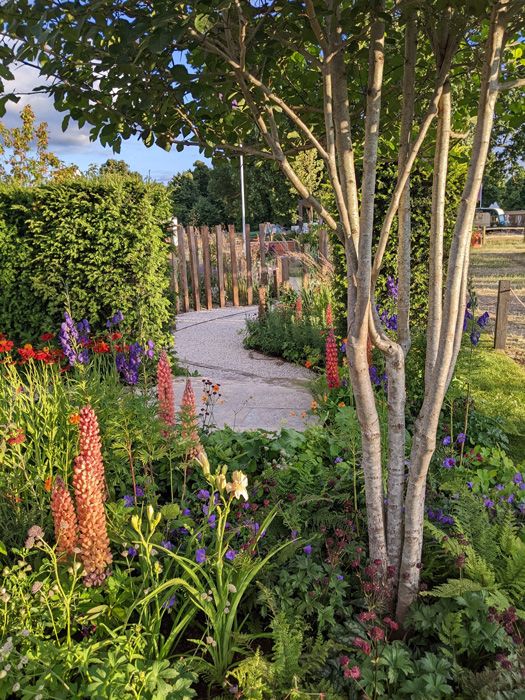 beautiful garden designed by Katherine Holland