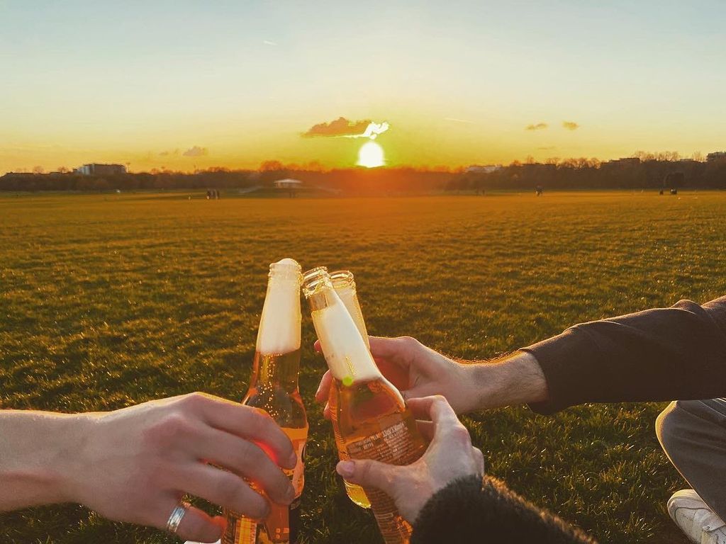 Three hands clinking beers in Meghann Fahy's Instagram post