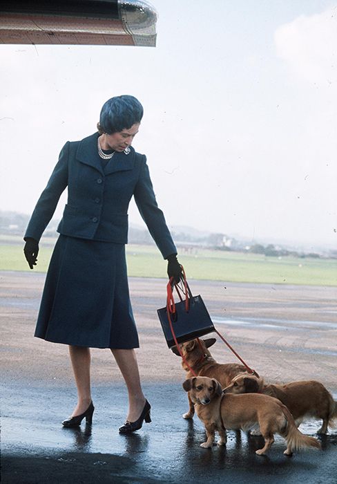 the queen near plane with corgis