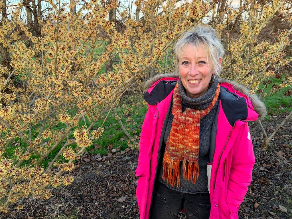 Carol Klein on Gardeners' World