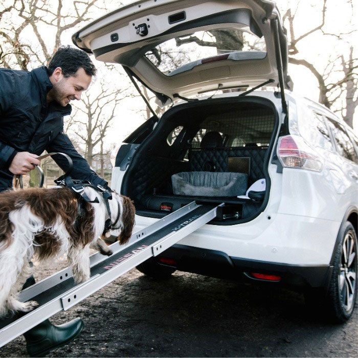 best cars for dogs nissan