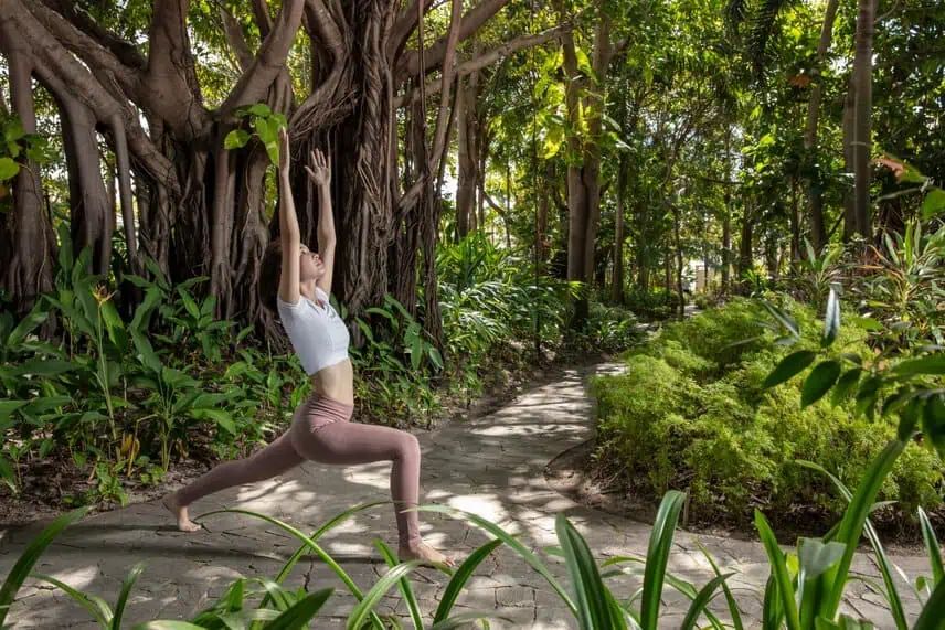 Enjoy yoga in the gardens