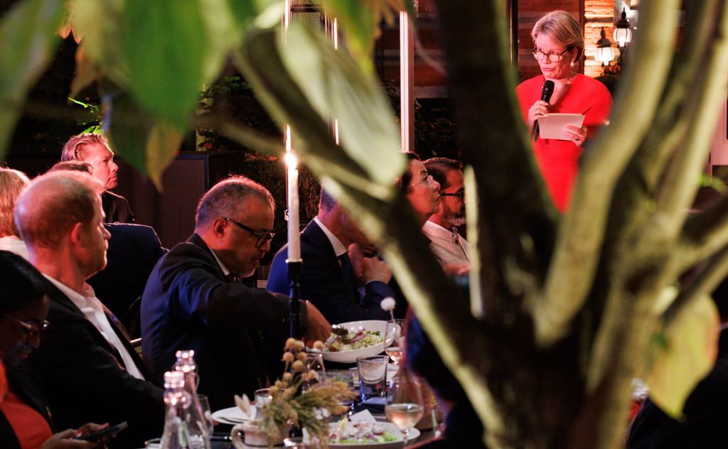 Queen Mathilde gives a speech as Harry looks on