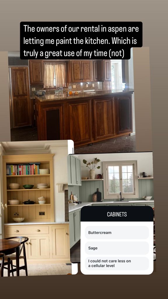 screengrab of meredith hagner's Instagram Story with three pictures of different kitchens painted in different colors