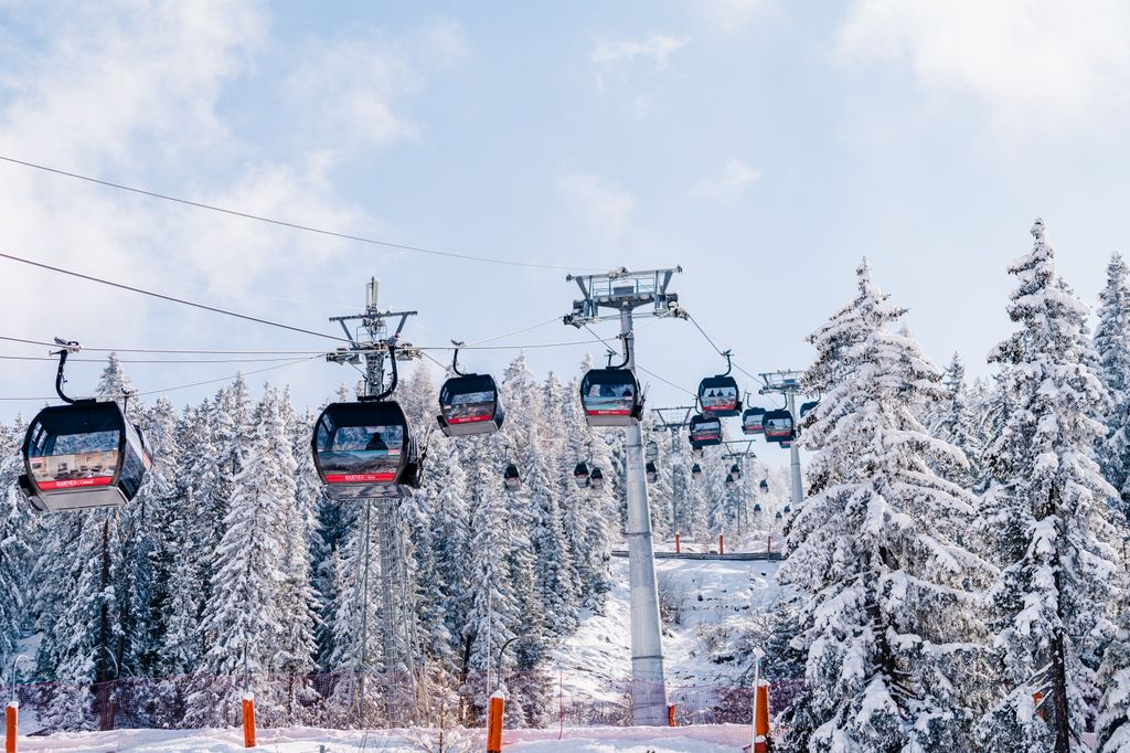 Cable cars amongst snow covered trees