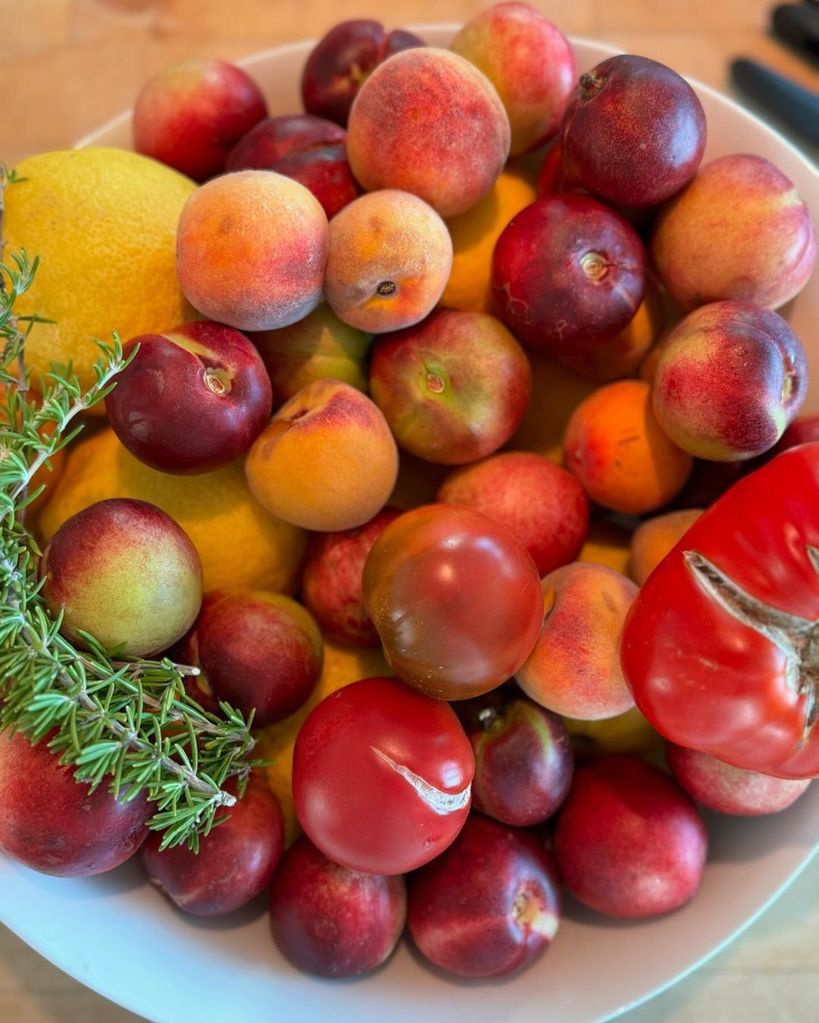 Joshua Jackson shows the fruits he harvested from his yard with daughter Juno, shared on Instagram