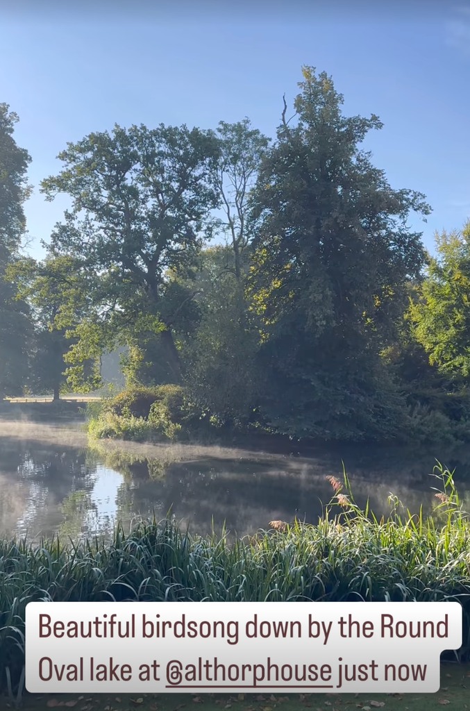 The island was visible from the video