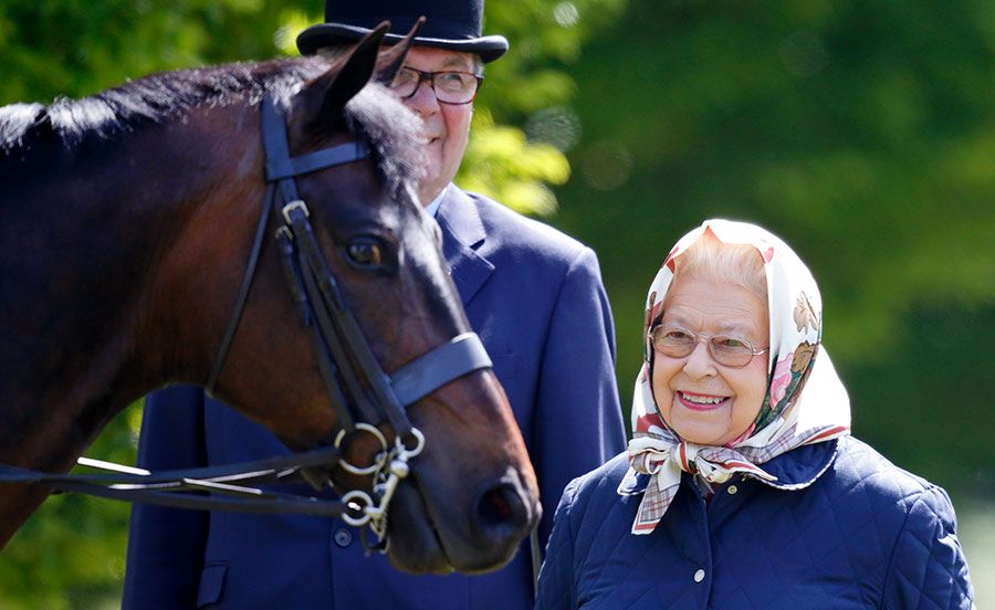 queen reaction loves horses