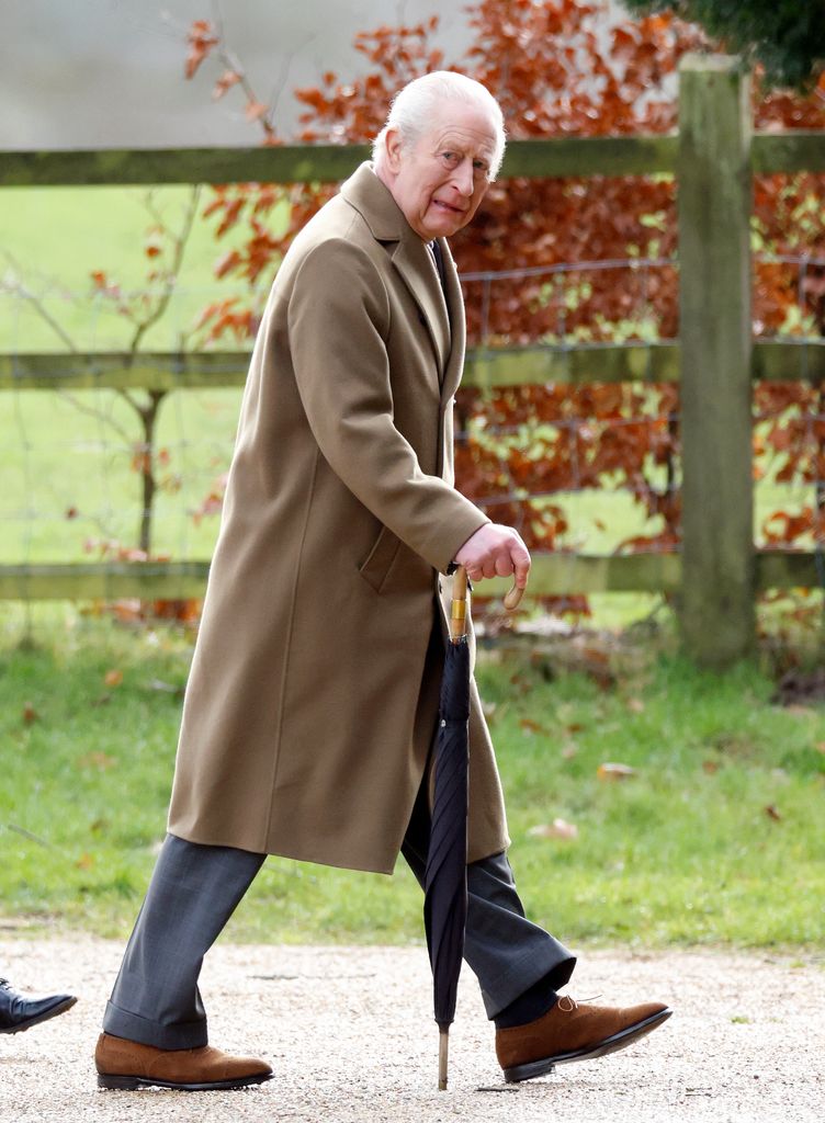 Le roi Charles marchant dehors en manteau marron