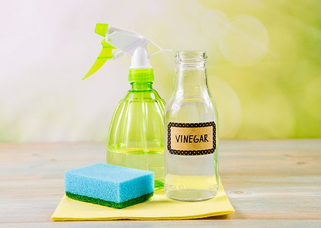 white vinegar spray bottle