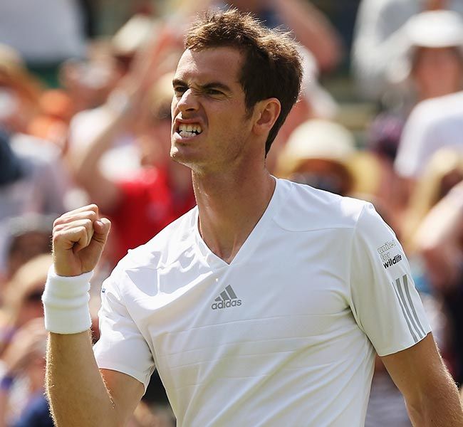 andy murray 4 