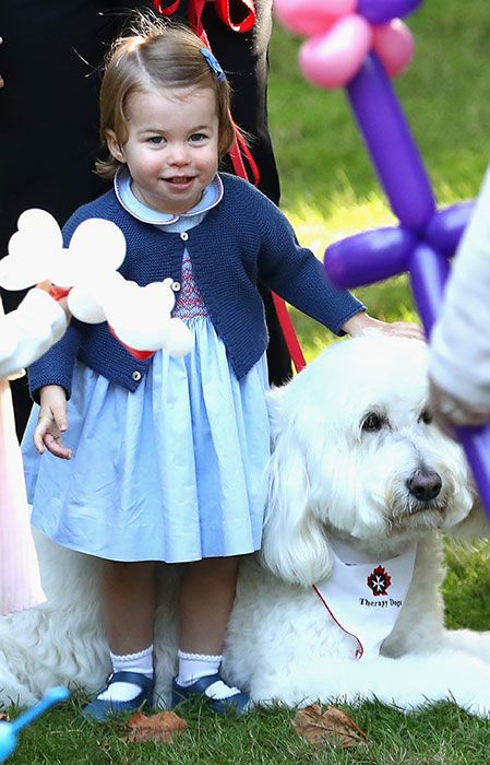 princess charlotte dog canada