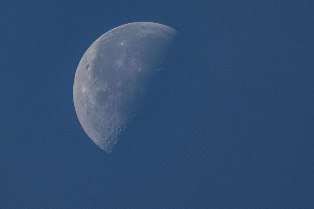 The Moon as seen from the Netherlands in the blue sky. The Moon or Luna phase is at a Third Quarter with the left side illuminated about 51% as seen from the northern hemisphere of the earth. The Moon is Earth's natural satellite in orbit and the closest celestial object in the universe. Eindhoven, Netherlands on November 8, 2020 (Photo by Nicolas Economou/NurPhoto via Getty Images)