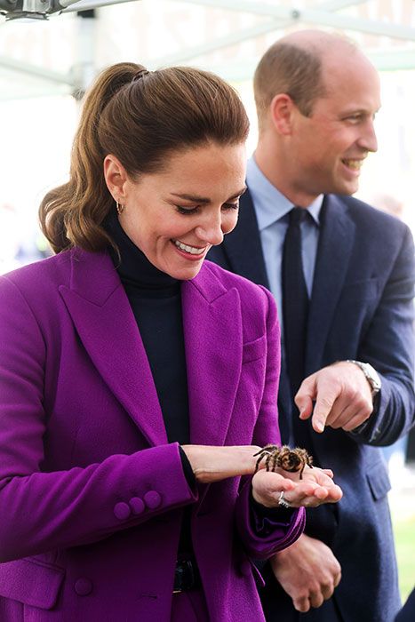 kate middleton holds tarantula