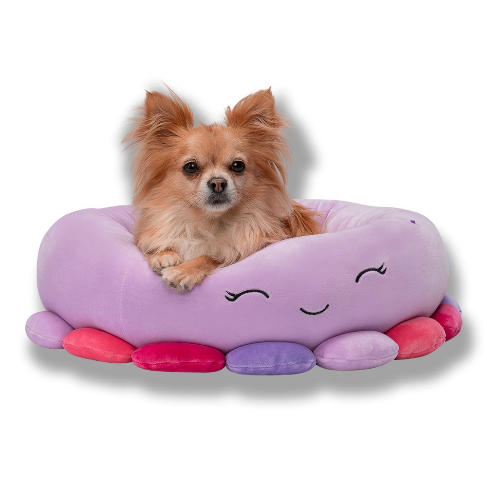 Squishmallows pet bed octopus version