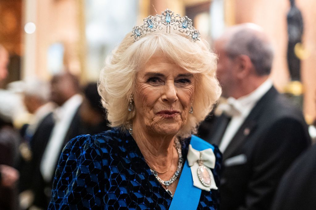 Britain's Queen Camilla arrives to meet with guests during a reception for members of the Diplomatic Corps at Buckingham Palace in London, on November 19, 2024.