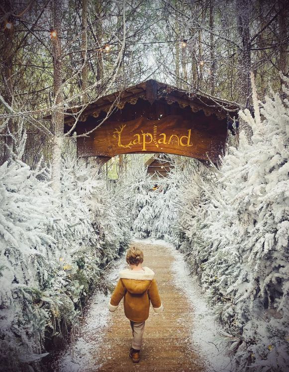 A young boy walking between white Christmas trees