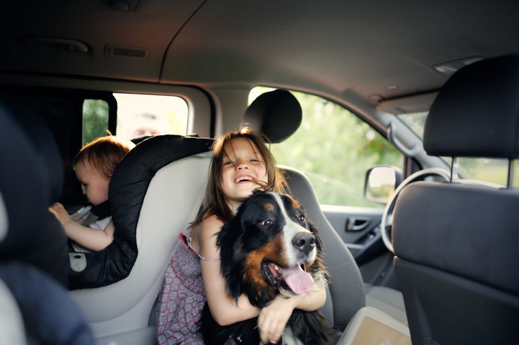 toddler in a car seat and a sister hugging a large Bernese Mountain Dog inside a large car.