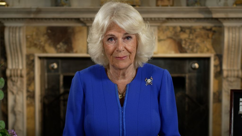 Queen Camilla in front of a fireplace in a blue dress