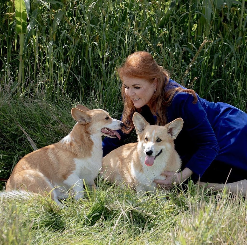 The Duchess of York now looks after the late Queen's Corgis at Royal Lodge