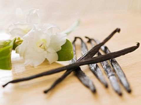 Vanilla pods and flowers 
