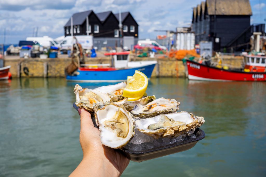 Freshly shucked oysters being held over water in Whitstable