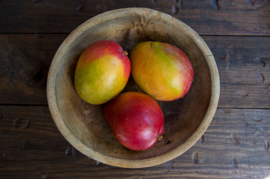 Three Mangos in Wood Bowl
