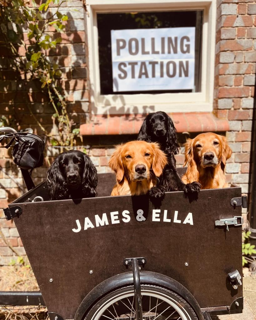 James Middleton's dogs at polling station