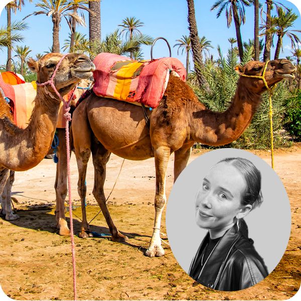 Iona lastminute.com body