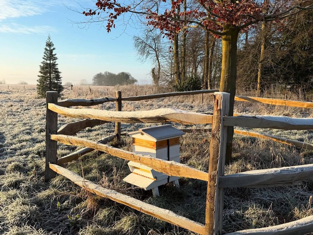 beehive in garden surrounded by fence