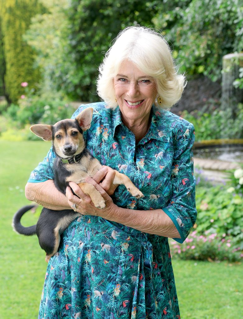 queen camilla holding pet dog moley 
