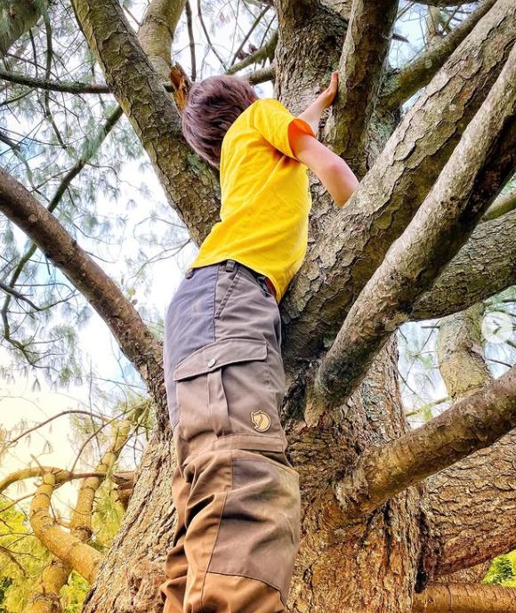 A young boy in a yellow t-shirt and brown trousers climbing a tree