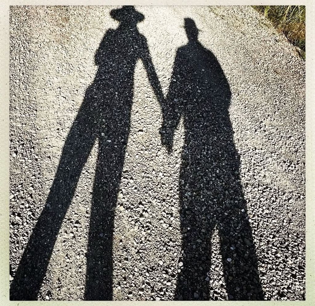 jamie lee curtis christopher guest shadows