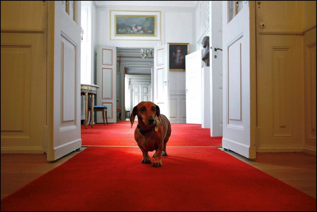 The castle is the residence of the Danish sovereigns between Easter and the end November - The dog of the castle in Fredensborg, Denmark on Octorber 06, 2003