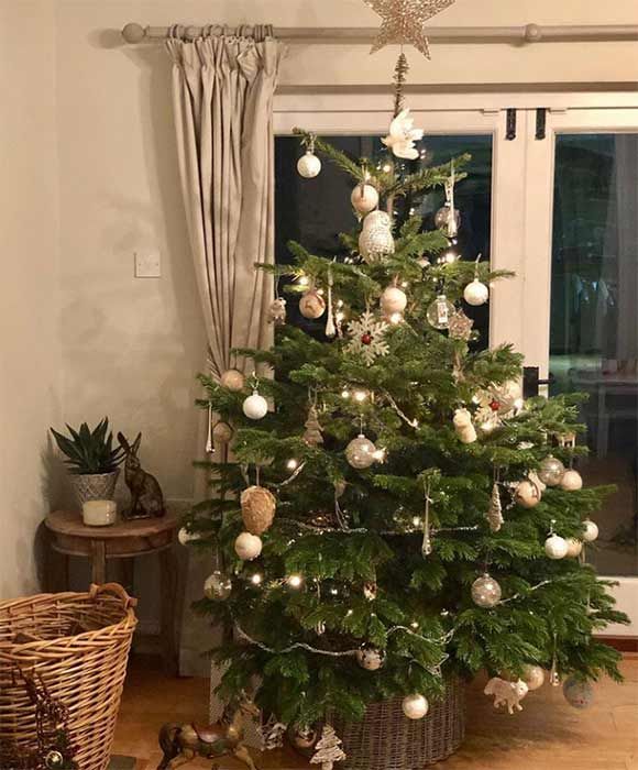 Charlotte Hawkins Christmas tree