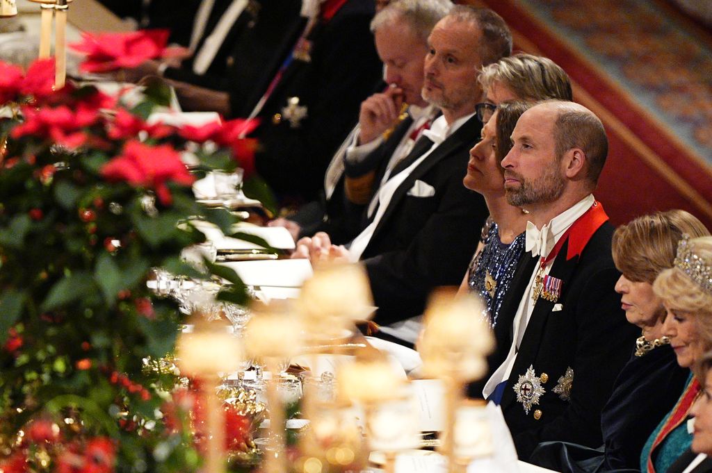  Prince William, Prince of Wales, during the state banquet