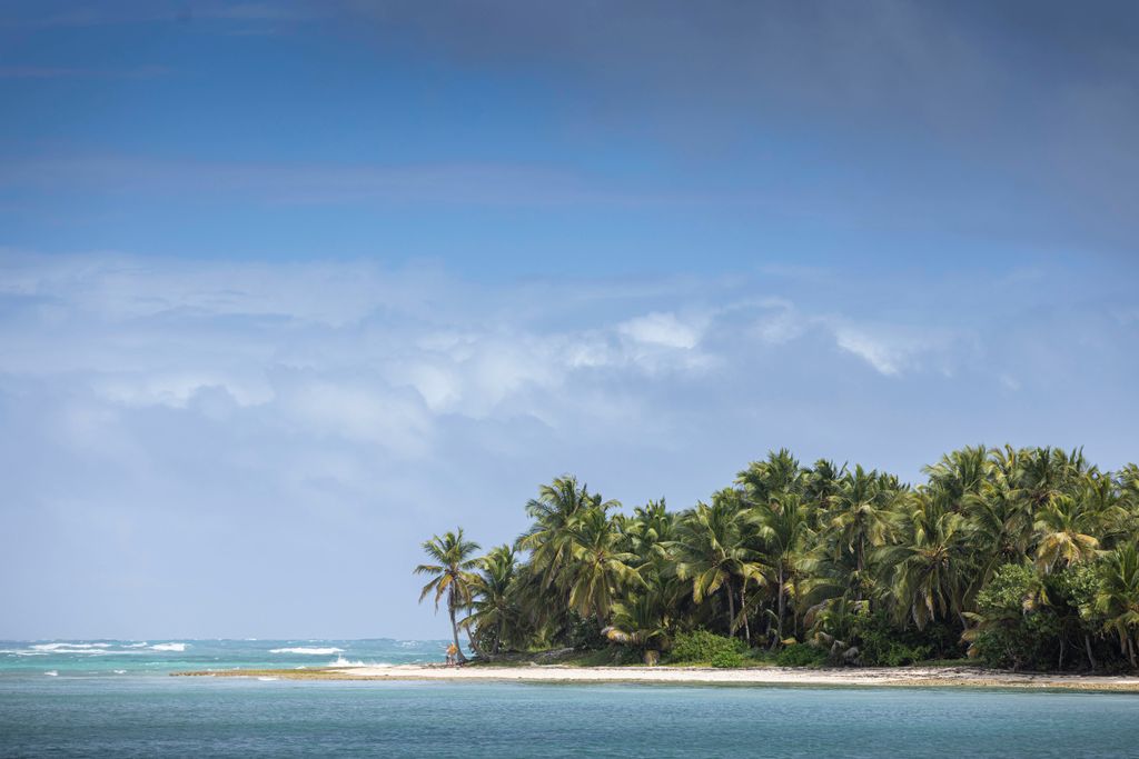 The Dominican Republic's palm tree-lined shores