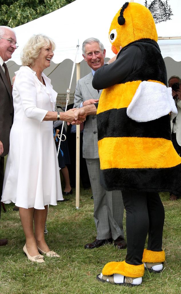 woman shaking hands with someone dressed in bee costume