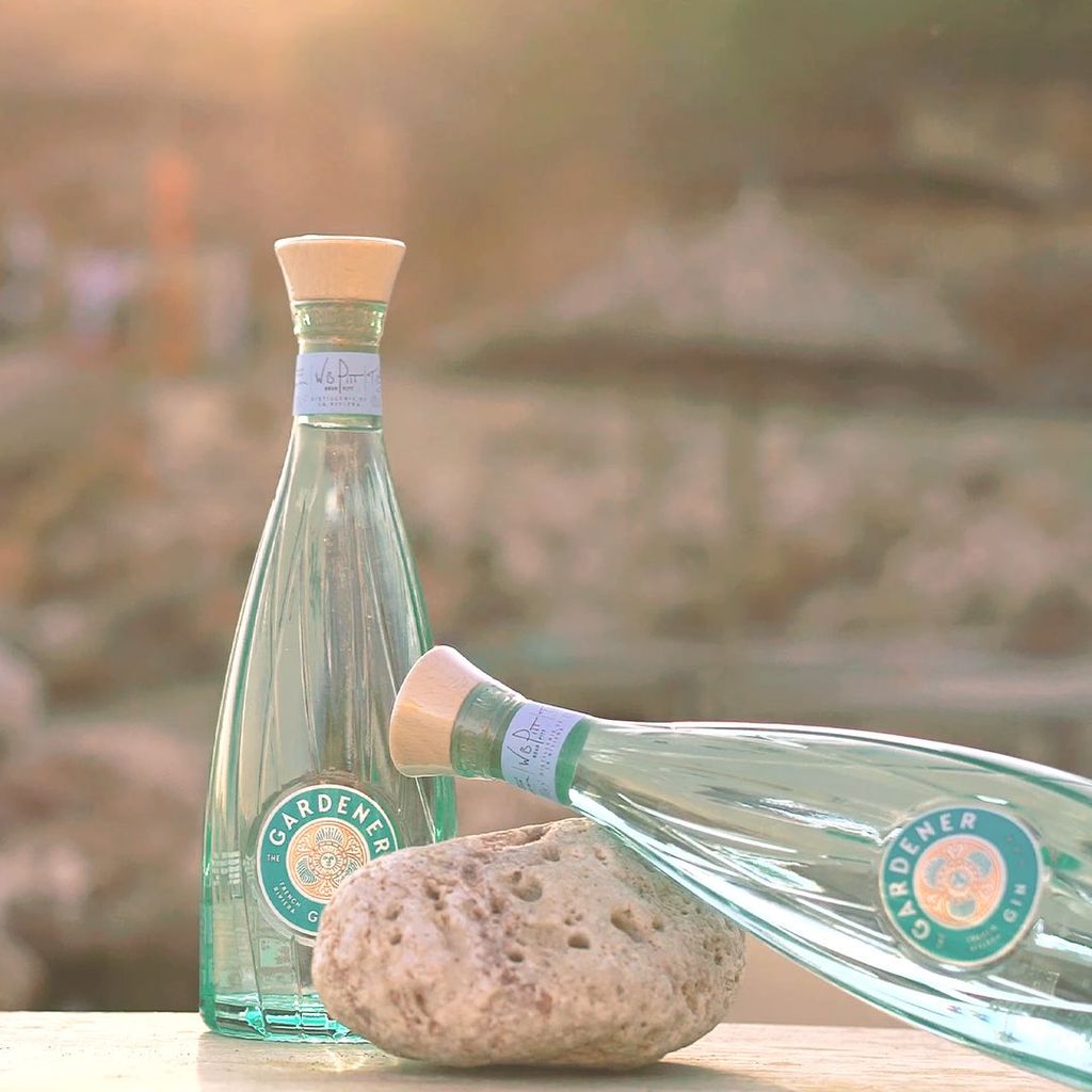 Two bottles of gin in a natural setting 