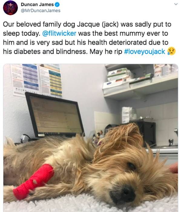 duncan james dog dies