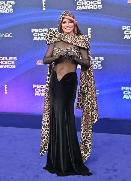 Shania Twain at The Peoples Choice Awards